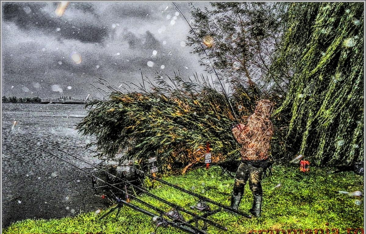 Boiliesmania 2013 - 1031256hdrmode2.jpg